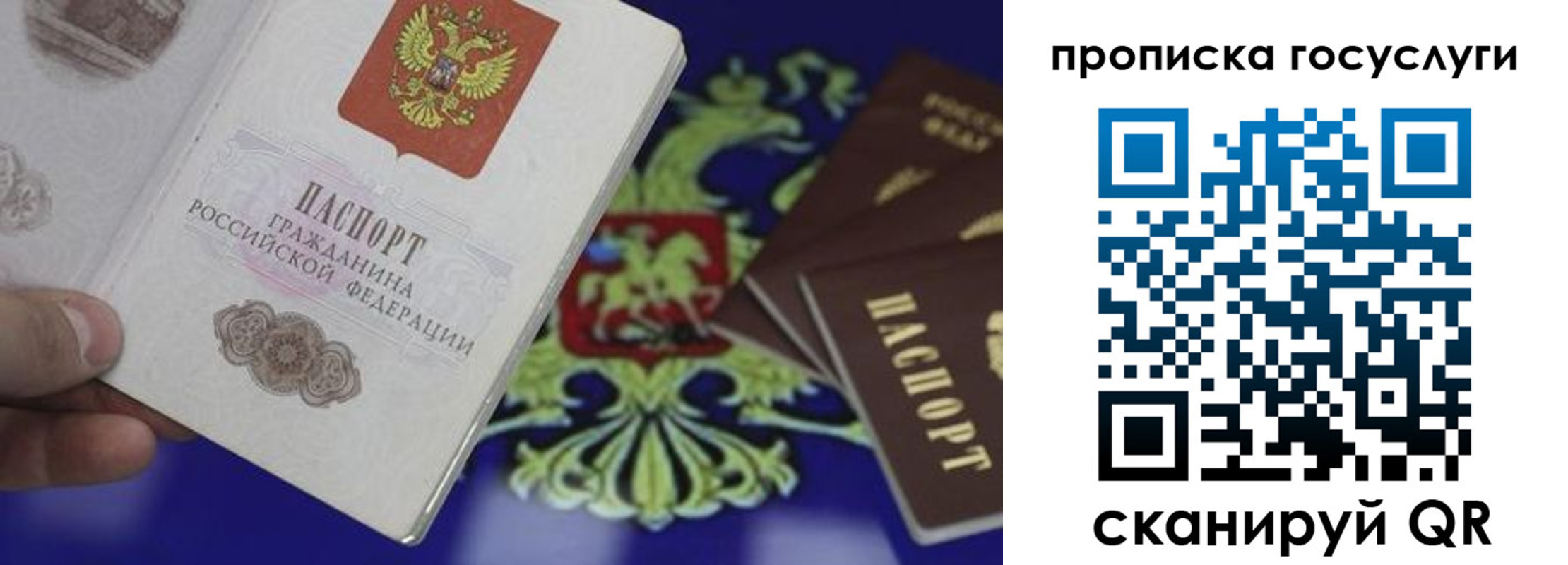 прописка для школы в Медногорске